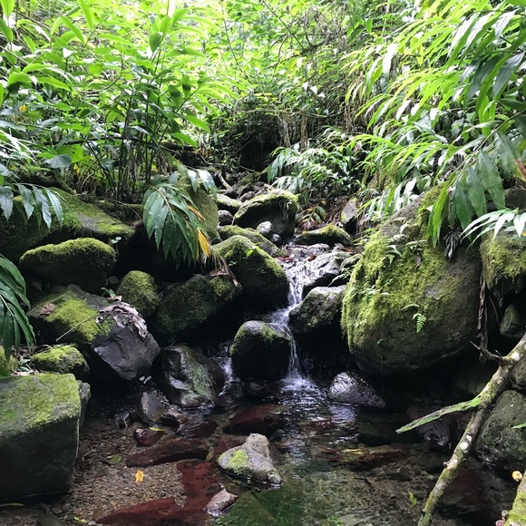 Meet your Posher, Kelcie (Feel Free to Bookmark My Closet) π» - Picture 3 of 5